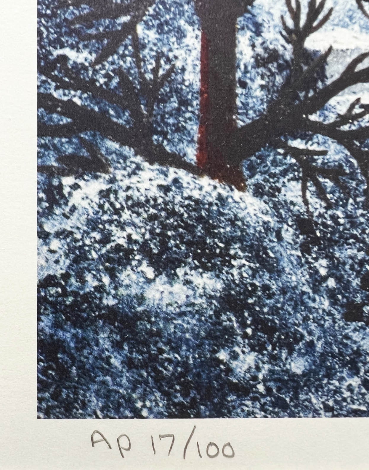 Jane Wooster Scott 