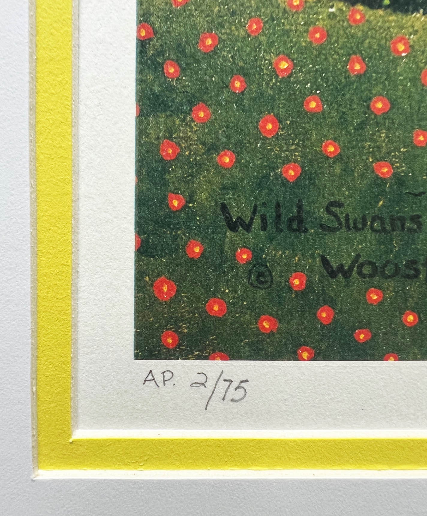Jane Wooster Scott リトグラフ「チェサピークの野生の白鳥」 Jane