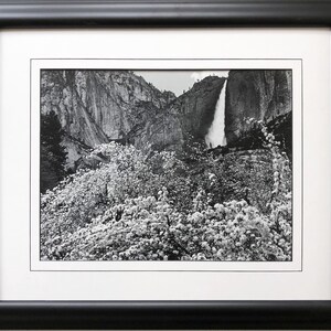 Ansel Adams &quot;Apple Blossoms&quot;Upper Yosemite Falls Framed NEW ART
