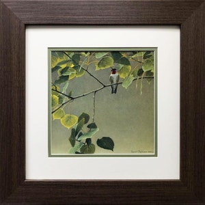 May include: A framed print of a hummingbird perched on a branch with green leaves. The background is a soft gray color. The artist's signature is visible in the lower right corner.