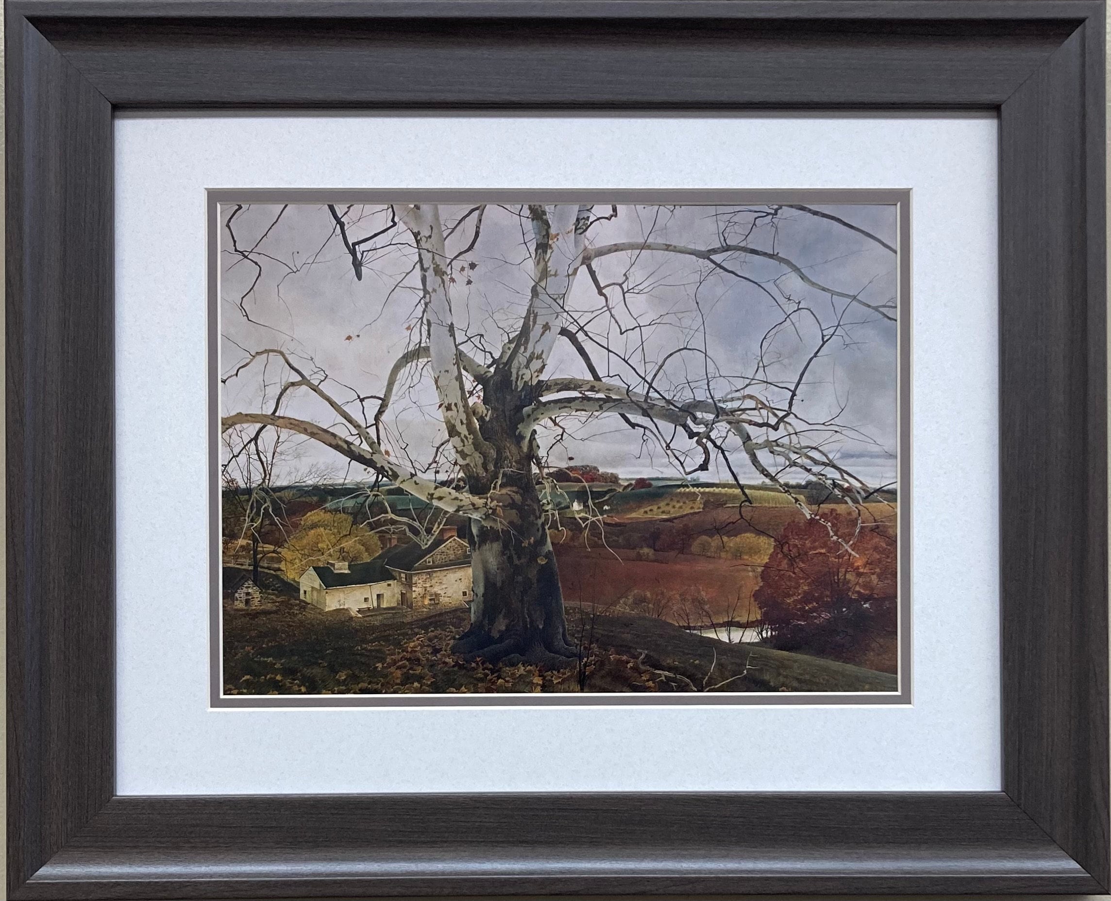 Andrew Wyeth 