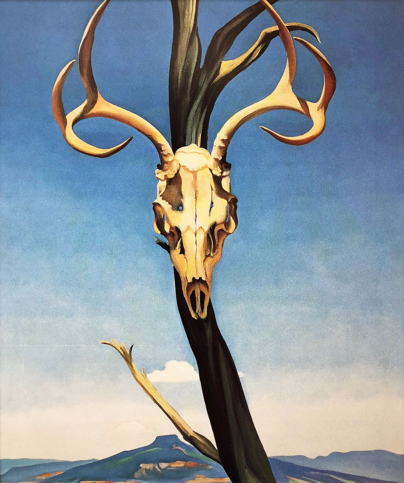 O'keeffe deer's Skull With Etsy