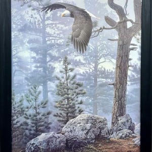 May include: A painting of a bald eagle flying through a misty forest. The eagle is in the foreground, with its wings spread wide. The forest is in the background, with tall trees and a thick fog. The painting is done in a realistic style, with a focus on detail.
