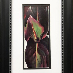 Georgia O&#39;Keeffe &quot;Canna Leaves&quot; 1925 Art Print Custom Framed