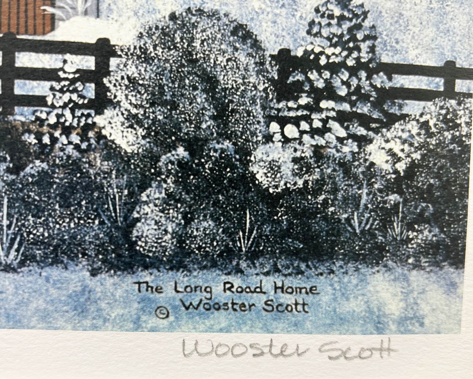 Jane Wooster Scott 