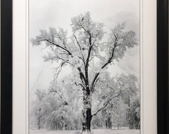 Ansel Adams 
