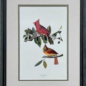 John James Audubon "Cardinal Grosbeak" Custom Framed Art Print