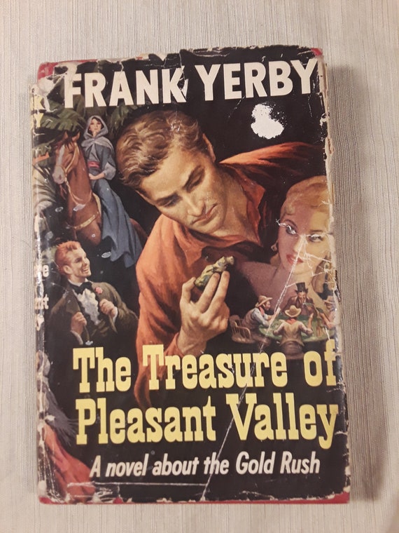 The Treasure Of Pleasant Valley A Novel About The Gold Rush Etsy
