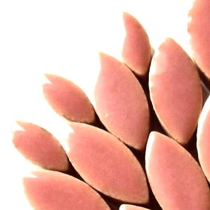 Dusty Rose Ceramic Petal Mix (35-40 count)//Pink Petals//Mosaic Tiles//Mosaic Surplus