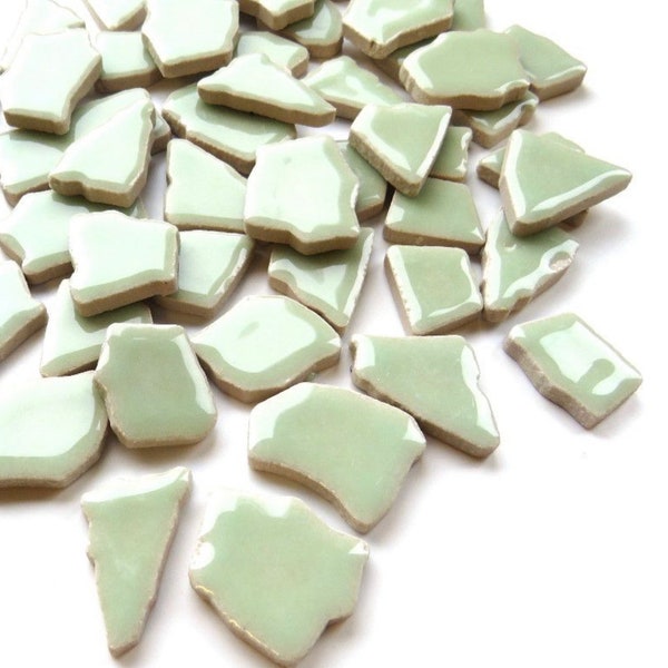 Celadon Green Glazed Ceramic Jigsaw Tiles//Mosaic Tiles//Mosaic Surplus // Ceramic tiles