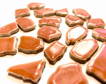 Wild Salmon Glazed Ceramic Jigsaw Tiles//Mosaic Tiles//Mosaic Surplus // Ceramic tiles