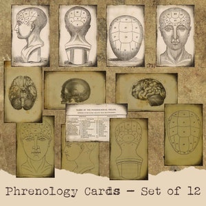 Vintage Phrenology Graphic Cards Skulls Medical Anatomy Scrapbooking Gift Cards Journals Junk Journals