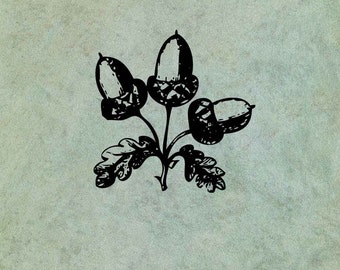 Acorns - Antique Style Clear Stamp