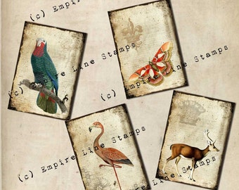 Shabby Collage Antique Style Backgrounds Instant Download Antique Print Collage with Animals and Birds