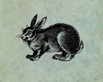 Rabbit Hare - Antique Style Clear Stamp