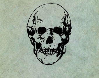 Skull LARGE - Antique Style Clear Stamp