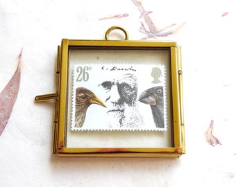 May include: A square brass frame containing a postage stamp featuring a portrait of Charles Darwin, the text 26p, and illustrations of two birds. The frame has a thin metallic border, a small top hanging loop, and a side latch mechanism.