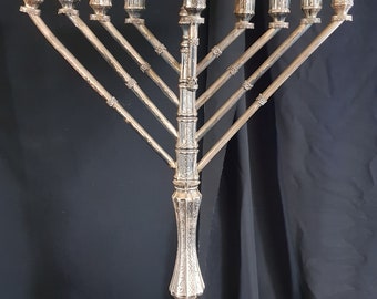 BRTAGG Hanukkah Menorah Portacandele placcato argento a 9 rami Argento… colore BRTAGG Hanukkah Menorah Portacandele placcato argento a 9 rami Argento… colore