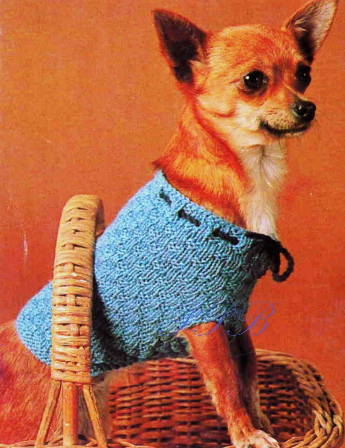 Knitted Dog Coat Chihuahua Dog Pattern PDF Knitting Etsy