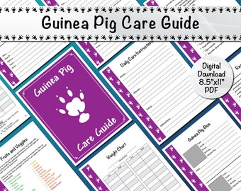 Guinea Pig Care Guide - Purple