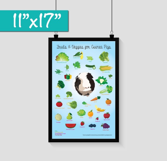 Fruits for guinea pigs hot sale