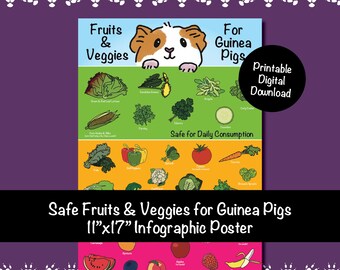 Guinea Pig Food List Printable PDF Safe Fruits Vegetables Chart for Daily Diet Blue Etsy