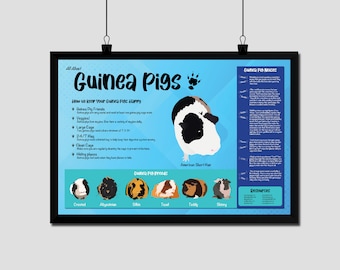36x24 All About Guinea Pigs Infographic Poster