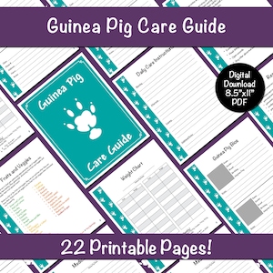 Guida alla cura della cavia - Teal