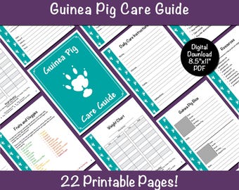 Guinea Pig Care Guide - Teal