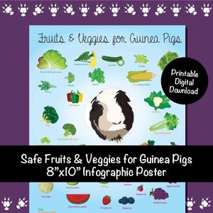 8x10 Fruits & Veggies for Guinea Pigs Infographic Poster