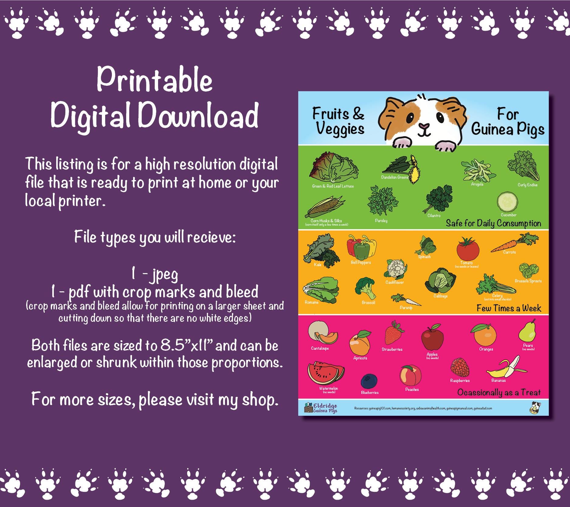 Fresh Look at Safe Fruits Veggies For Guinea Pigs Infographic Poster