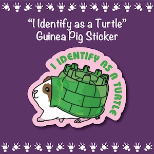 May include: A sticker featuring a guinea pig wearing a green turtle shell. The text on the sticker reads "I Identify as a Turtle" in white and green. The sticker is on a purple background with paw prints.