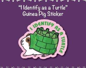 I Identify as a Turtle ~ Guinea Pig Stickers | stickers for car, water bottle, laptop & more