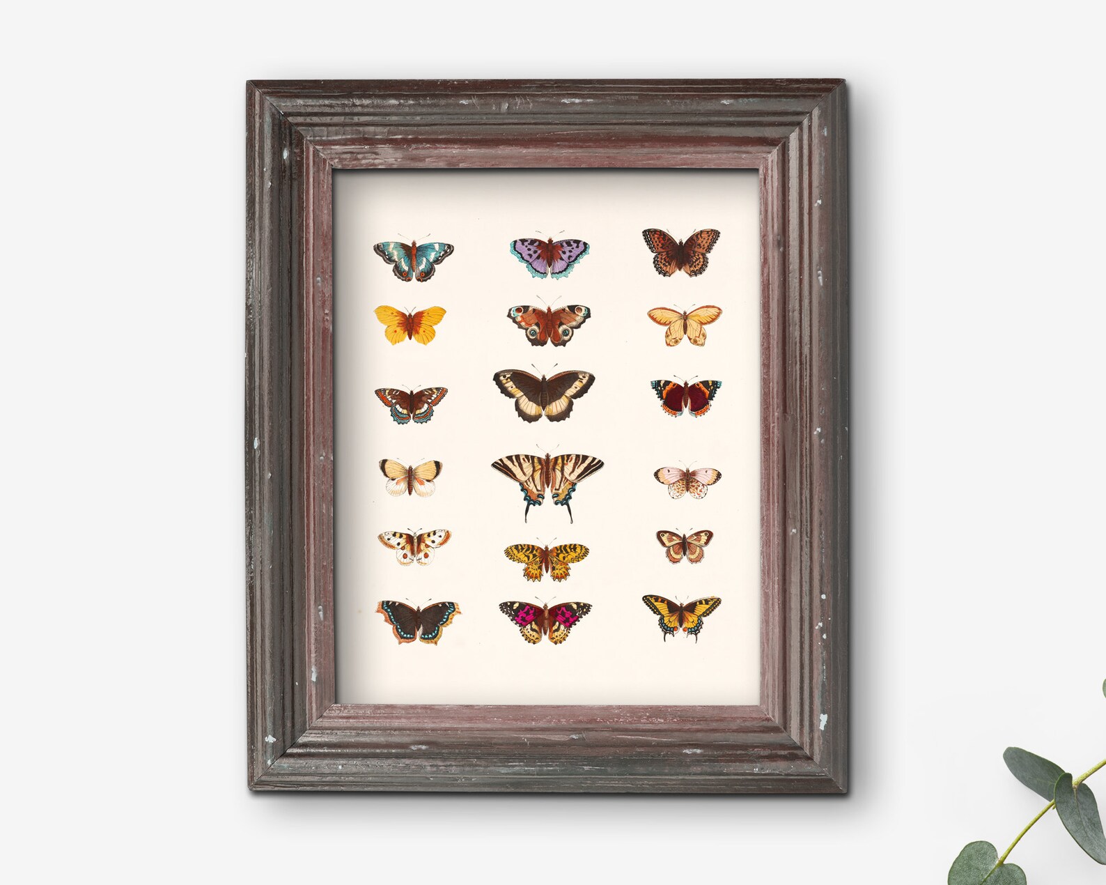 Vintage Butterfly Wall Art Butterfly Set Wall Art Instant Etsy