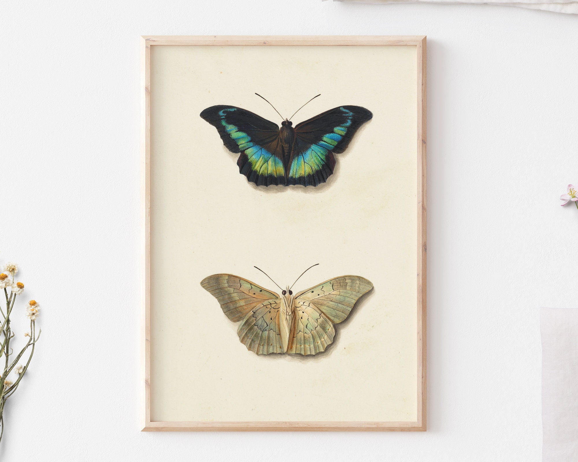 Pair Of Butterflies Wall Art Vintage Butterfly Wall Art Etsy