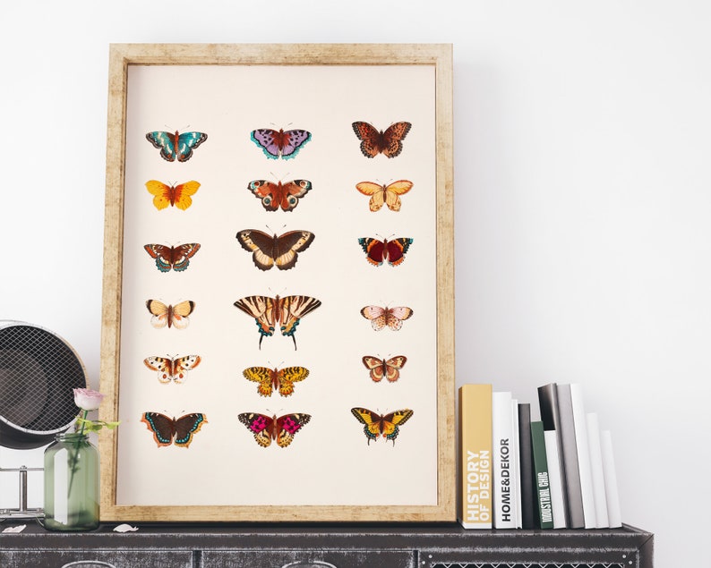 Vintage Butterfly Wall Art Butterfly Set Wall Art Instant Etsy