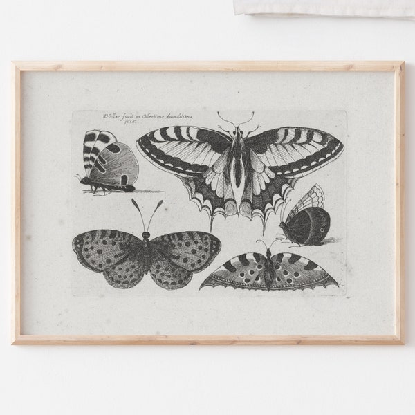 Black And White Butterfly Wall Art Set, Printable Vintage Butterfly, Instant Download, Antique Insect Art, Witchy Poster, Illustration #066