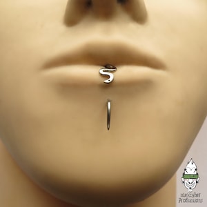 May include: A silver-coloured snake-shaped labret stud piercing jewellery positioned in the centre of the lower lip, paired with a simple silver-coloured circular hoop piercing located directly below it on the chin area of a mannequin face.