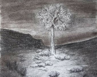 Weeping Willow Tree Charcoal Drawing | Etsy