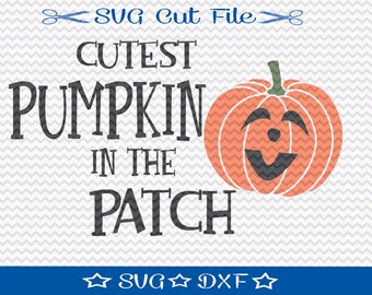 Halloween SVG File, SVG for Silhouette, Trick or Treat svg, Cutest Pumpkin in the Patch Cut File