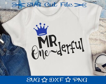 Birthday SVG File / Mr Wonderful Svg / Happy Birthday SVG / Little Boy Birthday Svg / First Birthday Svg