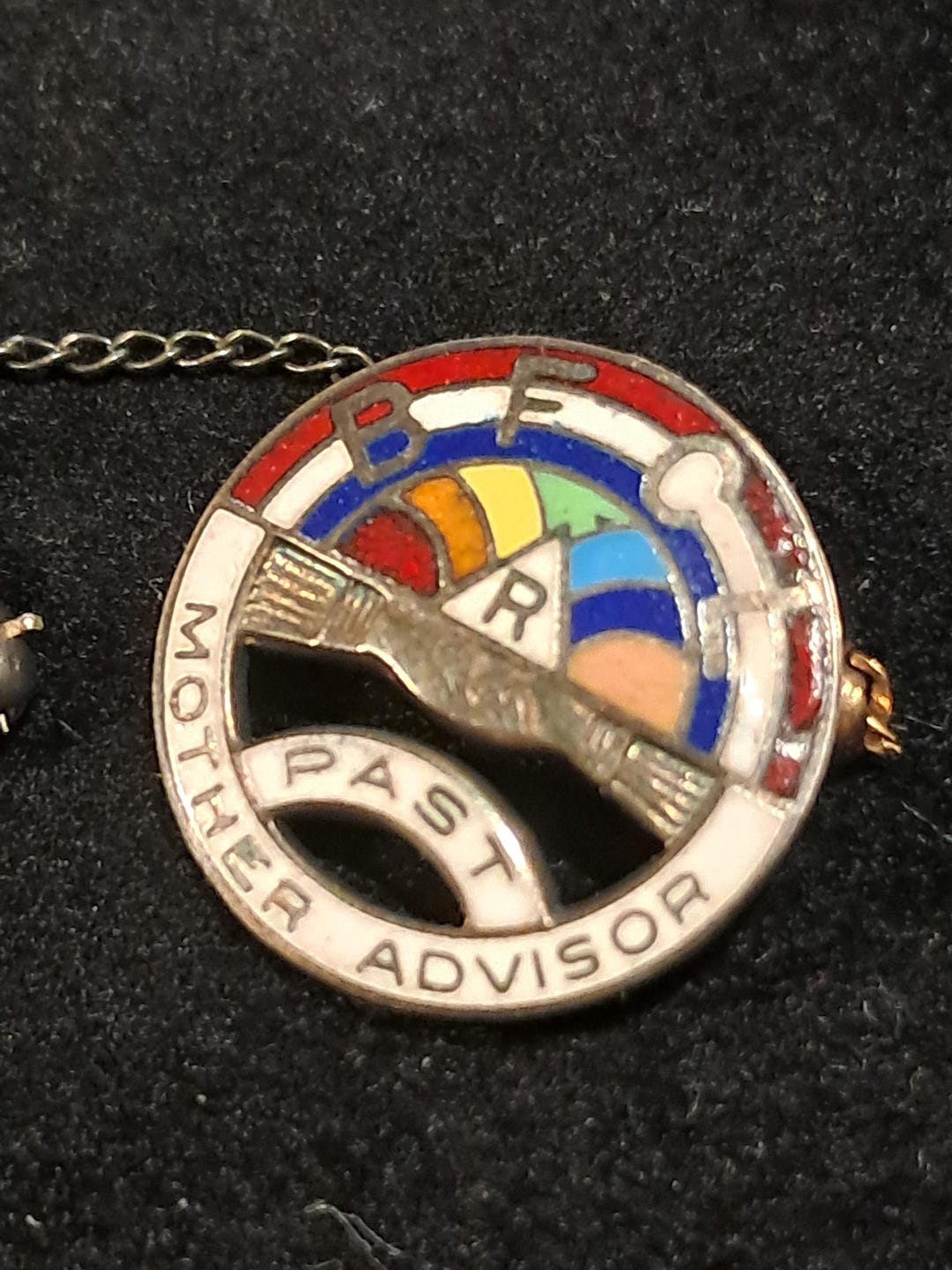 925 BFCL Order Rainbow for Girls ~ Past Mother Advisor Lapel Pin Gavel ...