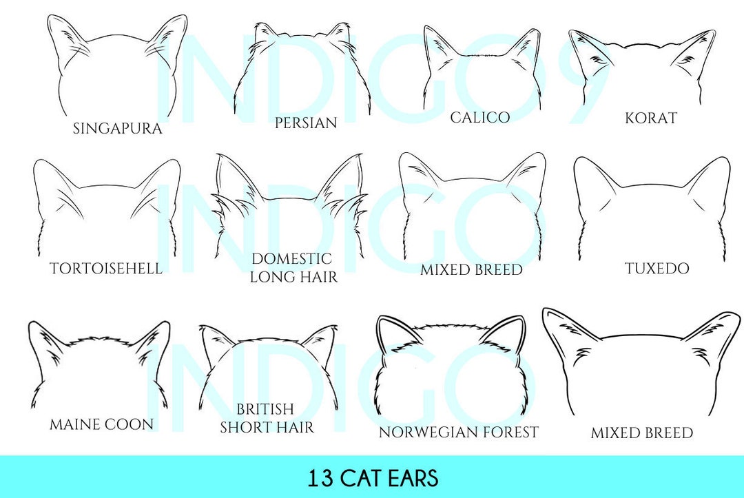 13 CAT Ears Line Drawing, Clip Art, PNG File, Pet Ear Outline Drawing
