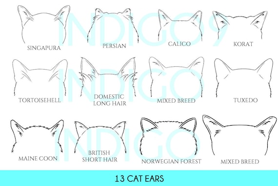100 Popular Cat Tattoo Ideas Youll Try ASAP