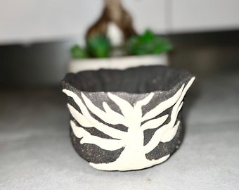 Handmade Snowy tree bonsai potter