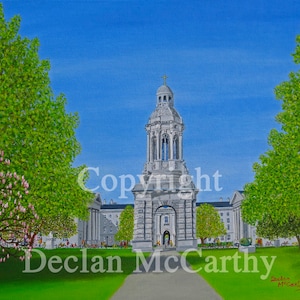 Trinity College, Dublin 24x18
