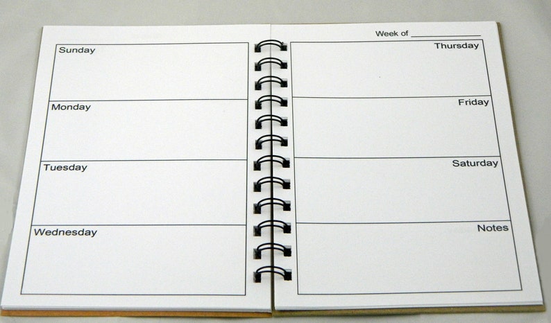 Psych inspired notebook/journal/day planner Did you hear about Pluto image 4