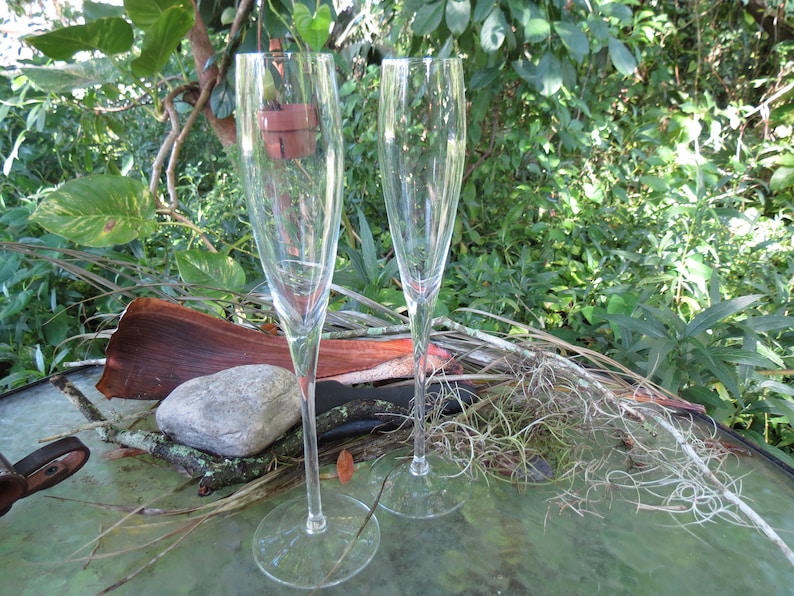 Pair of Wine Glasses Fine Quality Champagne Flutes Beautiful Stemmed Glasses