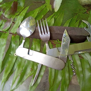 May include: A stainless steel multi-tool with a knife, bottle opener, and corkscrew, alongside a spoon and fork. The items are arranged on a bed of green fern leaves, with a dark brown stone in the background.