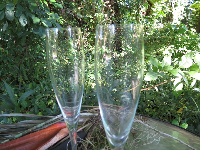 Pair of Wine Glasses Fine Quality Champagne Flutes Beautiful Stemmed Glasses